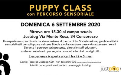 Puppy Class con percorso sensoriale